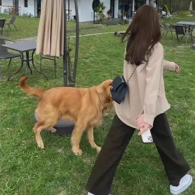 首相阁下的料理人
